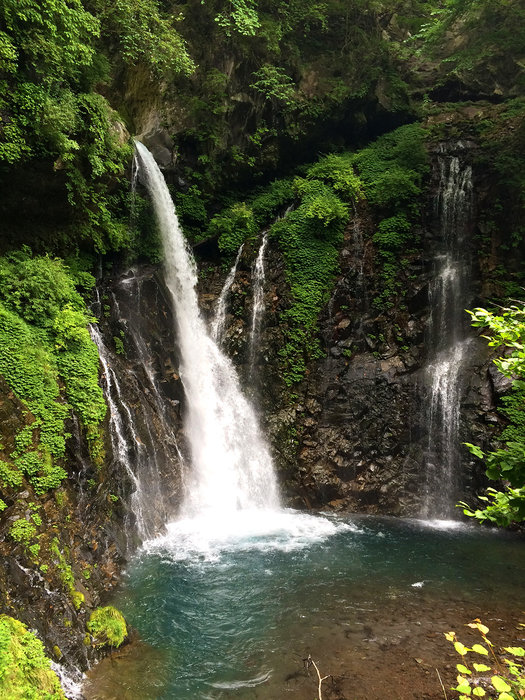 夏におすすめ！自然あふれる日光の滝