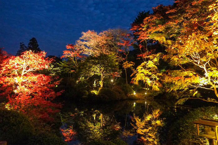 『逍遥園ライトアップ』が開催されます