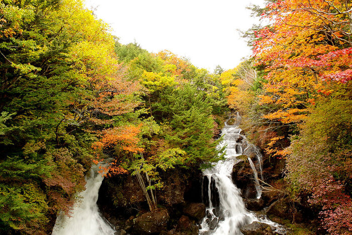 【紅葉】奥日光各地で見頃を迎えています