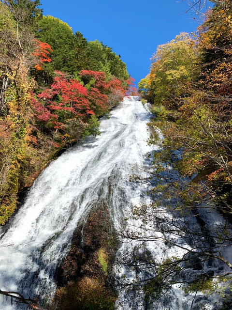 紅葉スポット【奥日光】